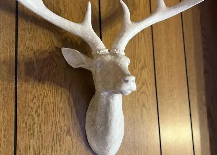 Bergliebe Willingen- Naehe Skywalk بيت للعطل فيلنغن